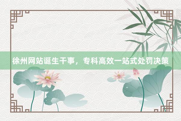 徐州网站诞生干事，专科高效一站式处罚决策