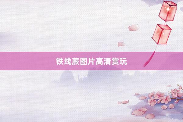 铁线蕨图片高清赏玩